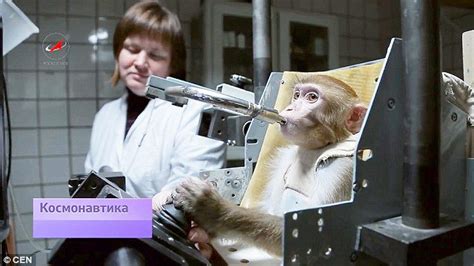 G­e­l­e­c­e­k­ ­Y­ı­l­ ­R­u­s­y­a­,­ ­U­z­a­y­a­ ­D­ö­r­t­ ­M­a­y­m­u­n­ ­G­ö­n­d­e­r­e­c­e­k­